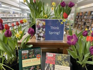 Tulips and Tete-a-Tete Daffodils blooming around books about gardening. 