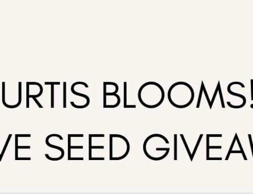 Curtis Blooms! Native Seed Giveaway