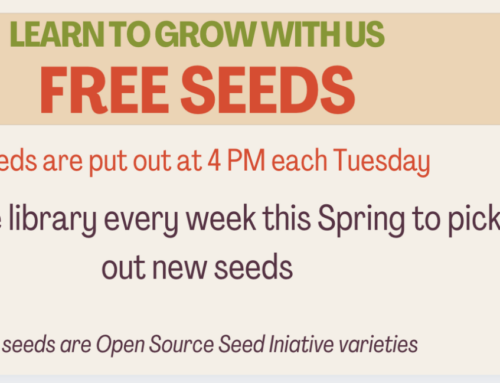 Learn to Grow with Us – Free Seeds at the Library