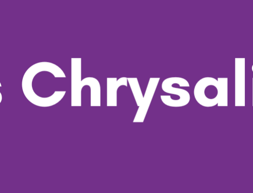 It’s Chrysalis time…